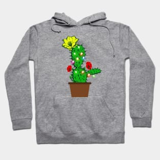 Christmas Cactus with lights between flowers Hoodie